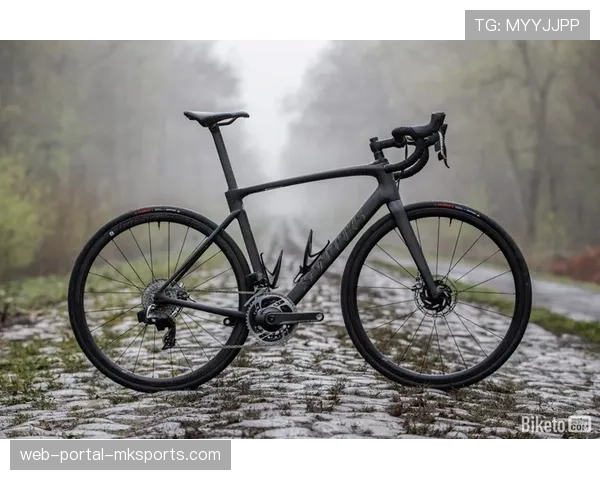 通讯：本土品牌崛起，中国碳纤维车架在全球OEM市场份额提升至35%